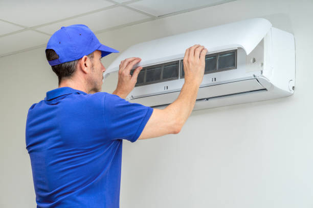 Best Air Duct Mold Removal  in North Pekin, IL